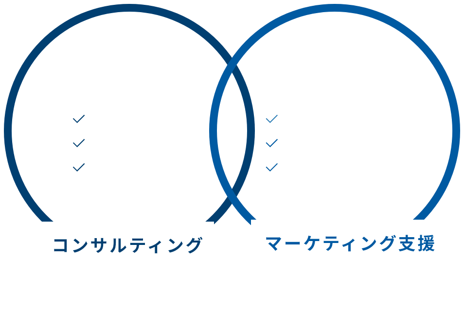 コンサルティング(競合調査、サイト改善、総合戦略)、マーケティング(広告戦略、プロモ-ション支援、各種分析)で効果の最大化を実現!